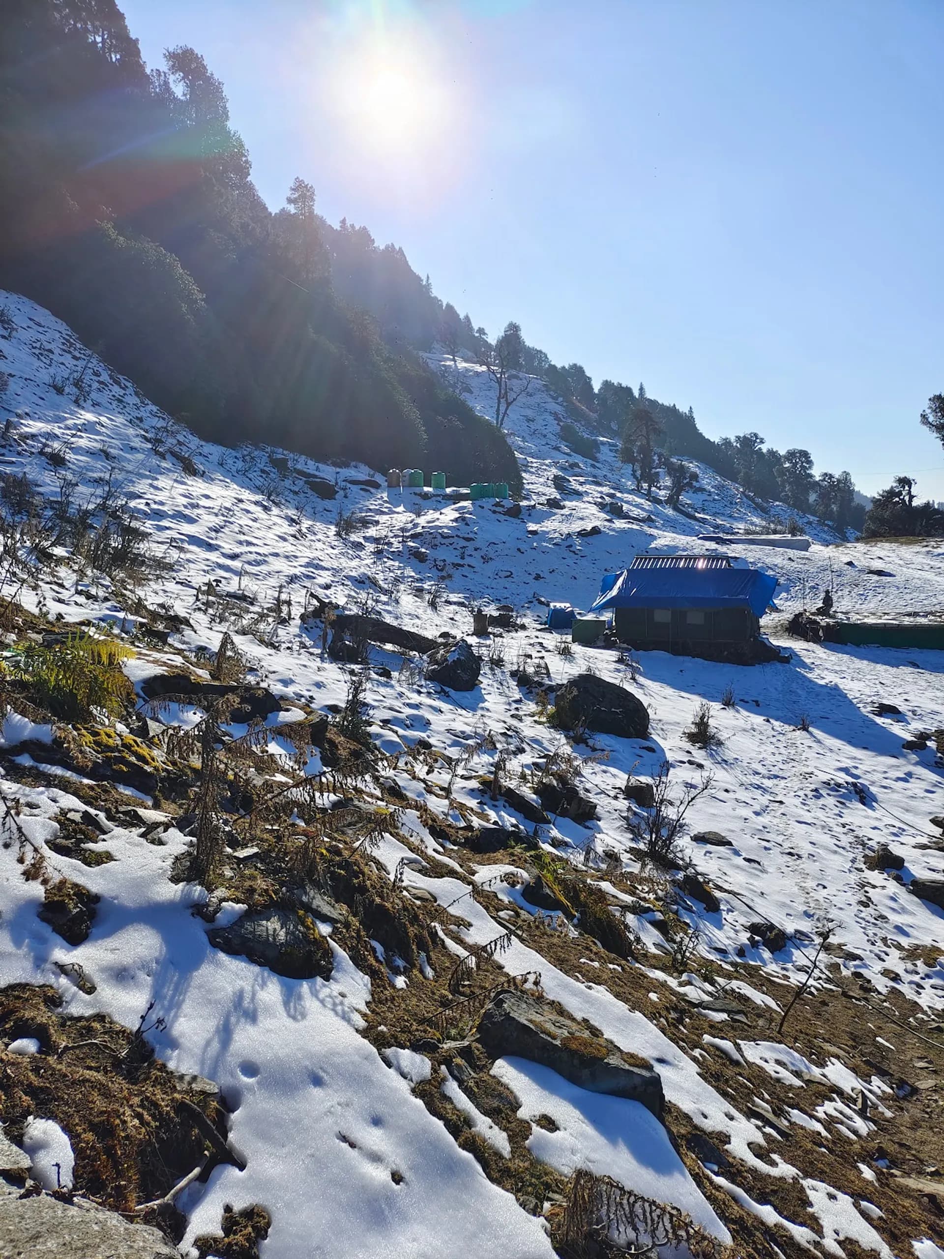 Chopta Valley