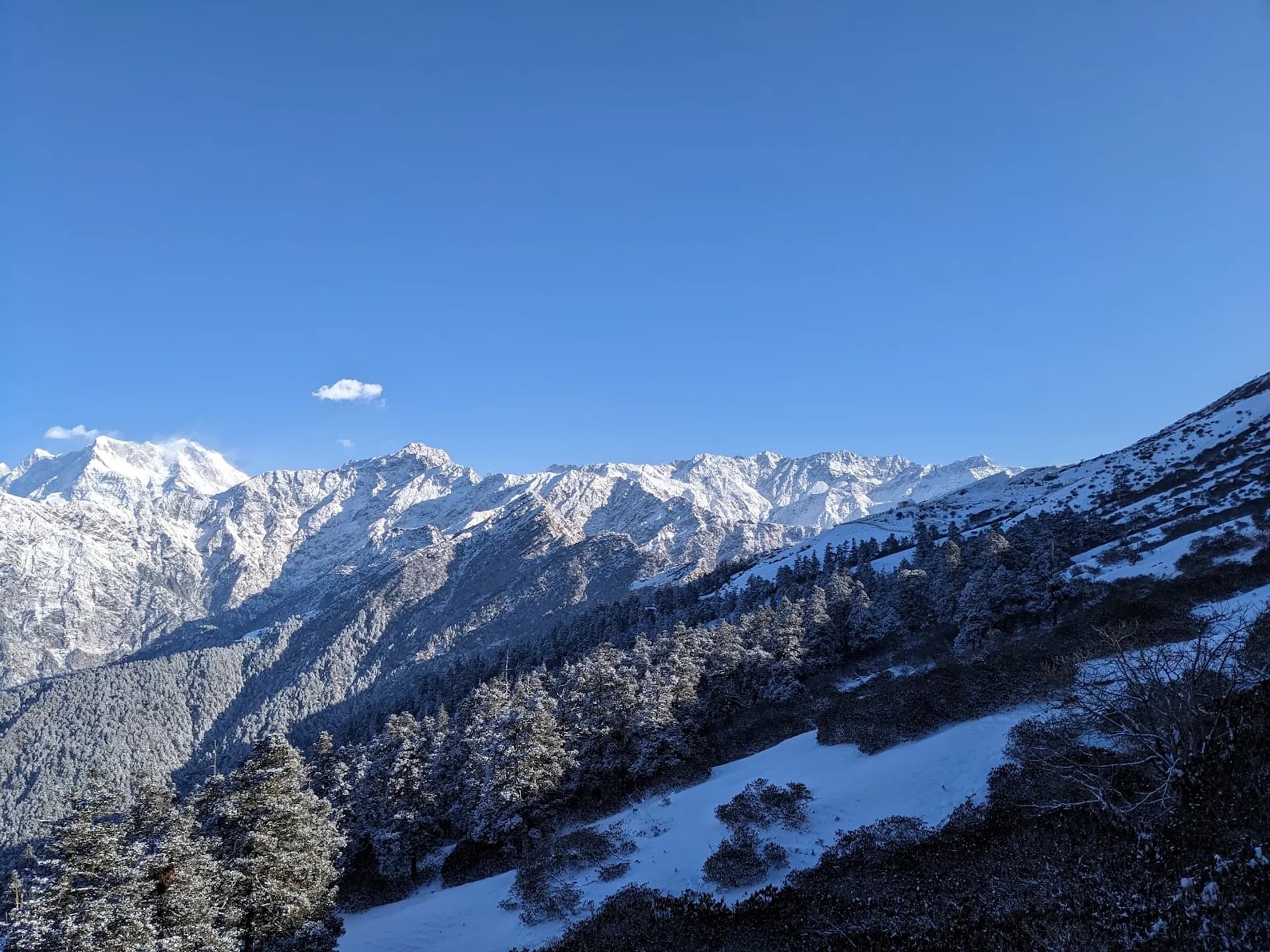 Chopta Valley