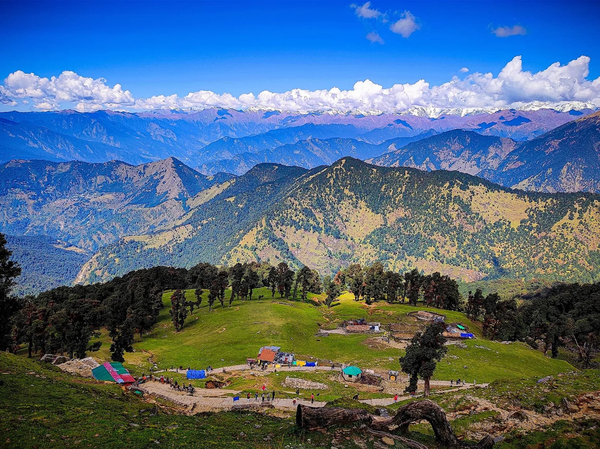 Chopta Valley