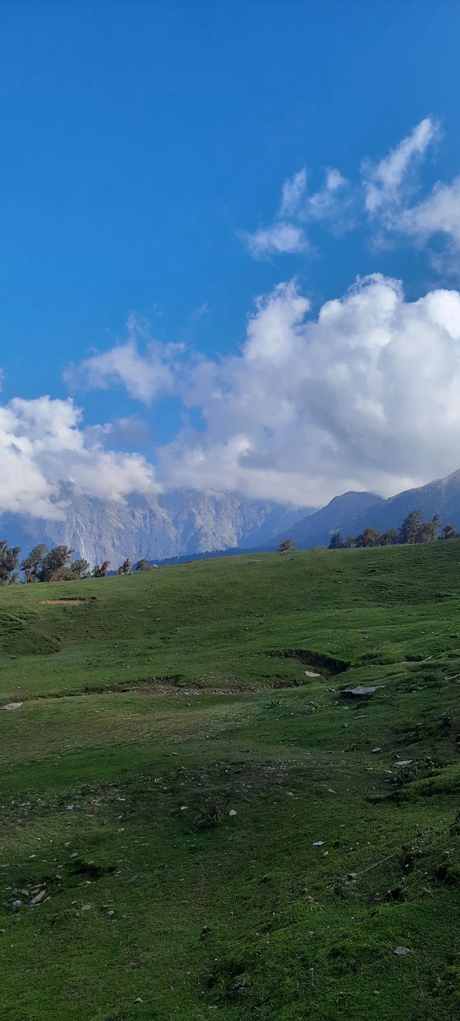 Chopta Valley