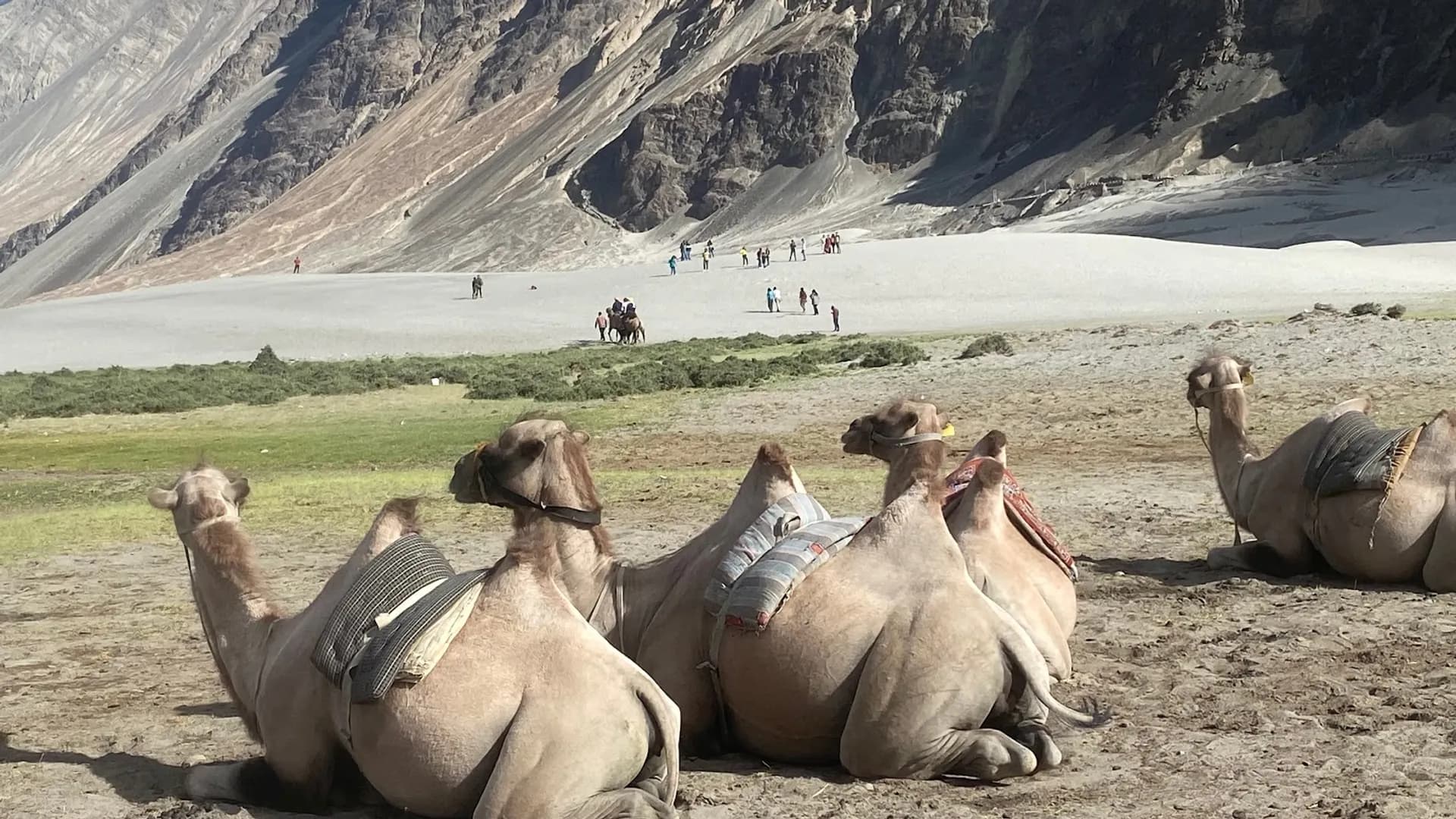 Nubra Valley