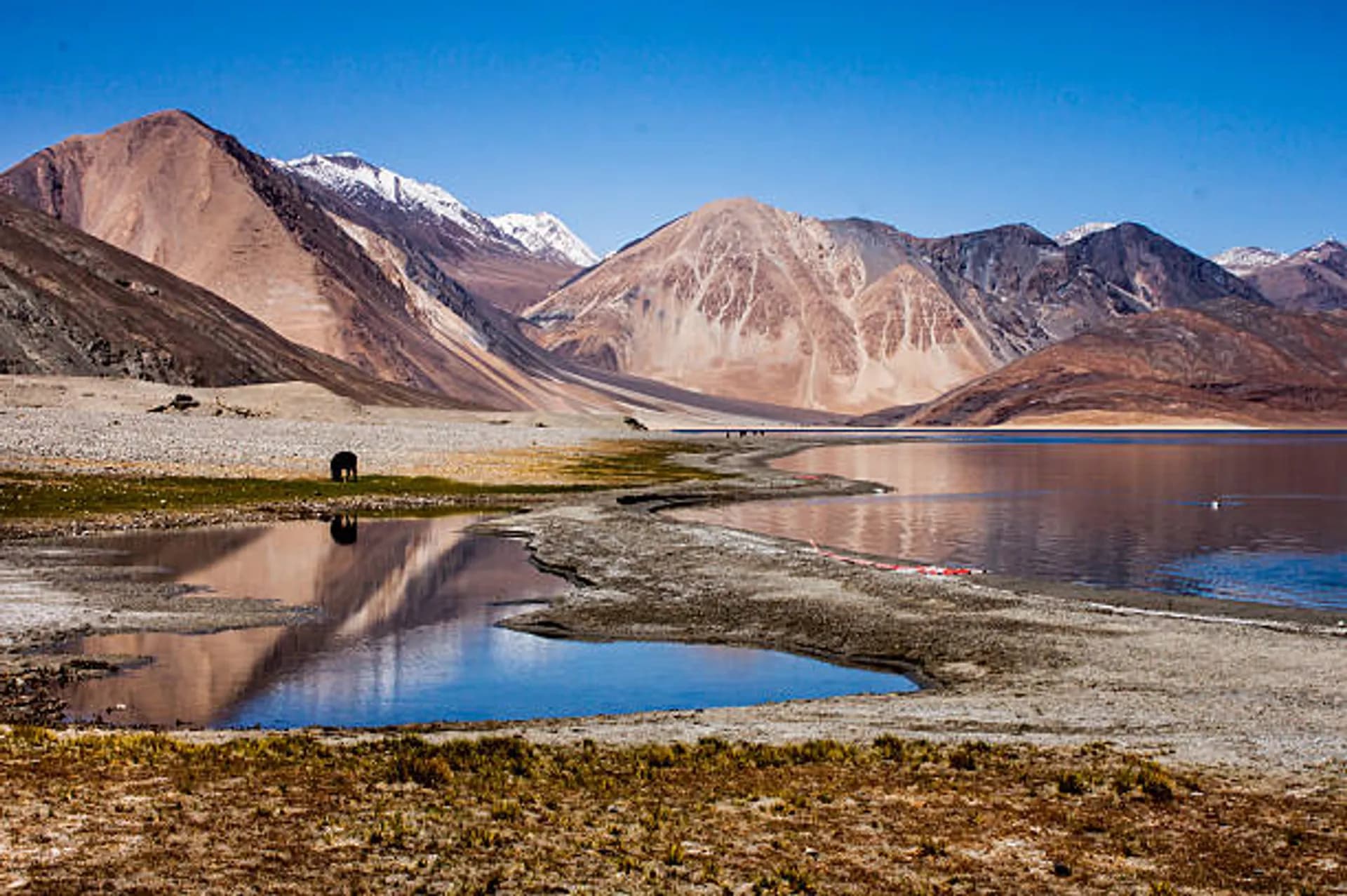 Pangong Tso