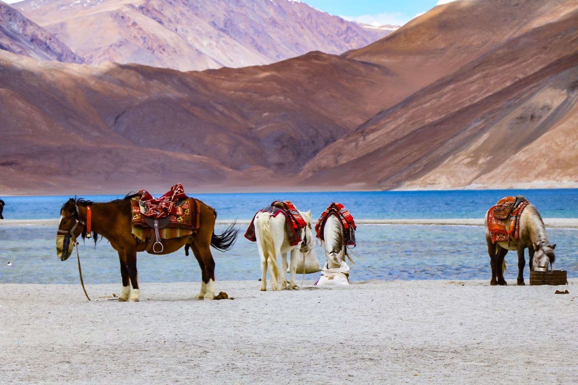 Pangong Tso