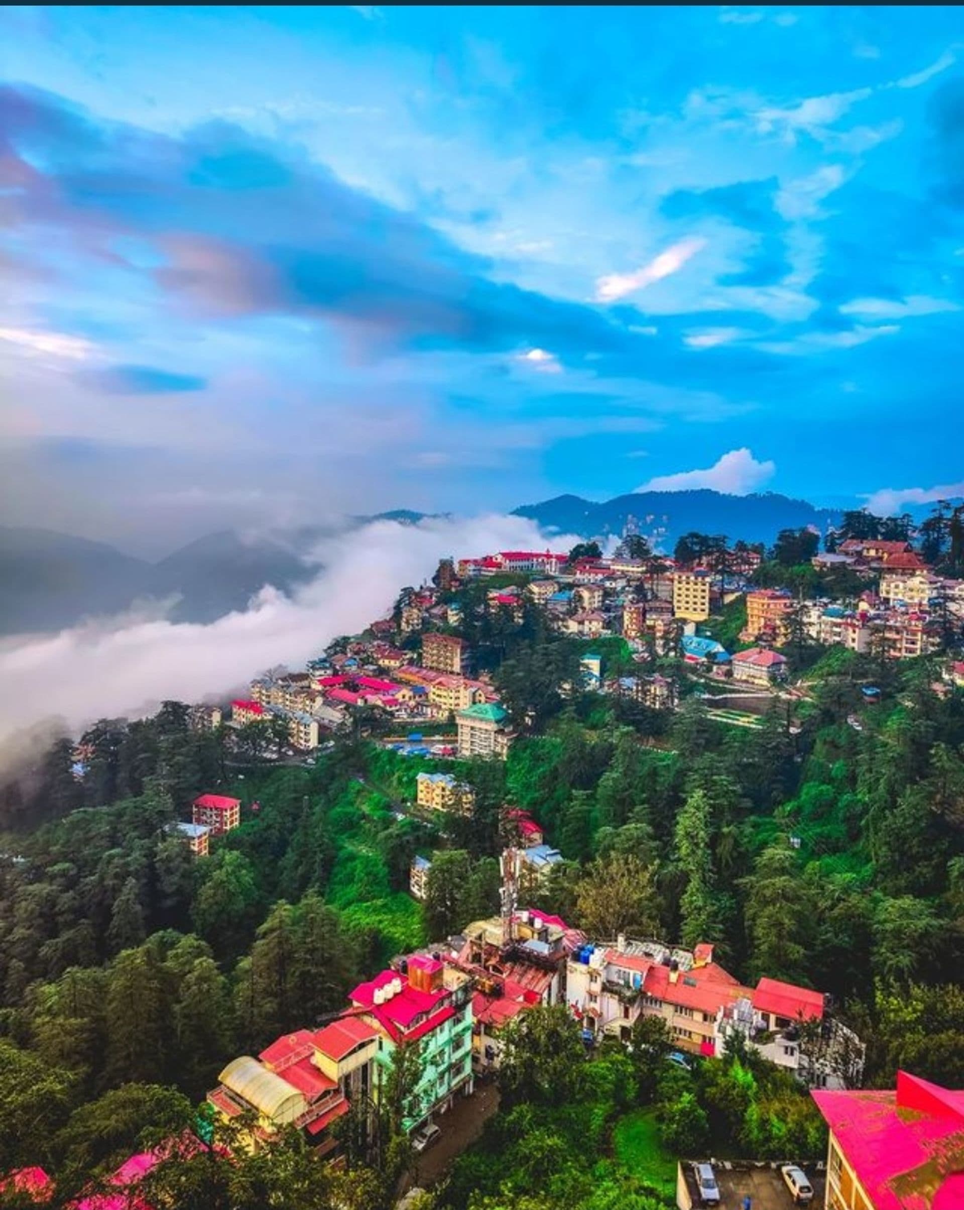 Shimla