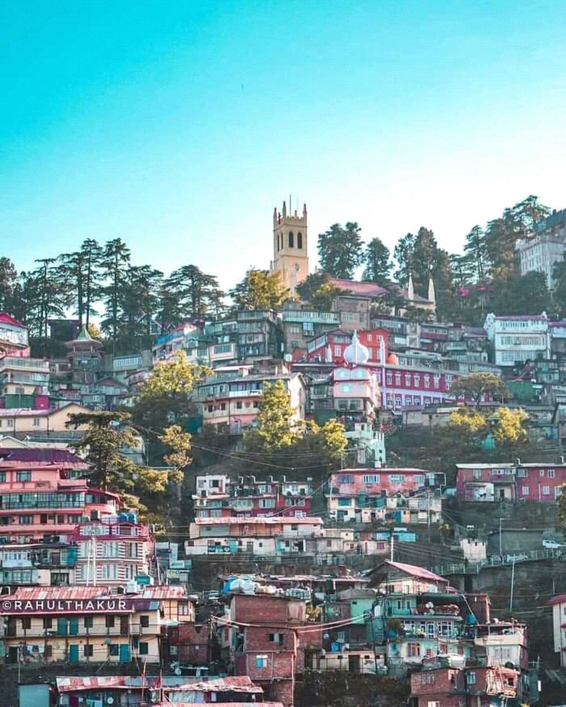 Shimla